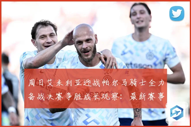 周日艾米利亚迎战帕尔马骑士全力备战决赛争胜成长观察：最新赛事动态与深度分析